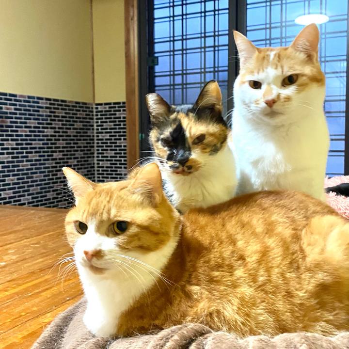 F3b86dbe 2d66 4921 b503 15297a0ecc31 1703456643650