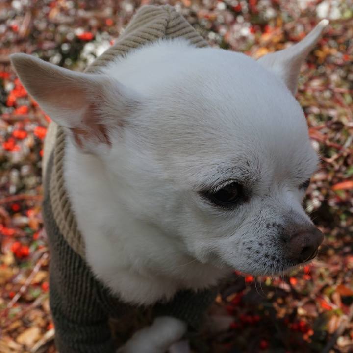 F3b875e5 7289 4238 8984 494bea4778c5 1515311535537