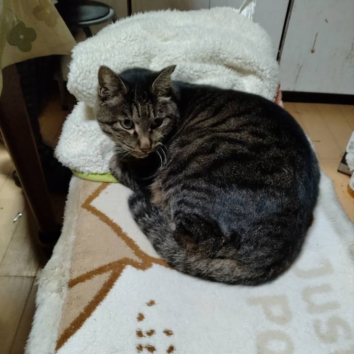 F3b88c01 ae46 4125 af6b 158304f467c0 1700048284538