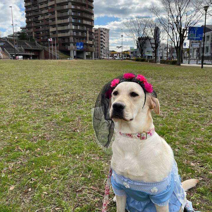 F3b88c56 d3de 4538 b45a f2c344c0e812 1642425135455