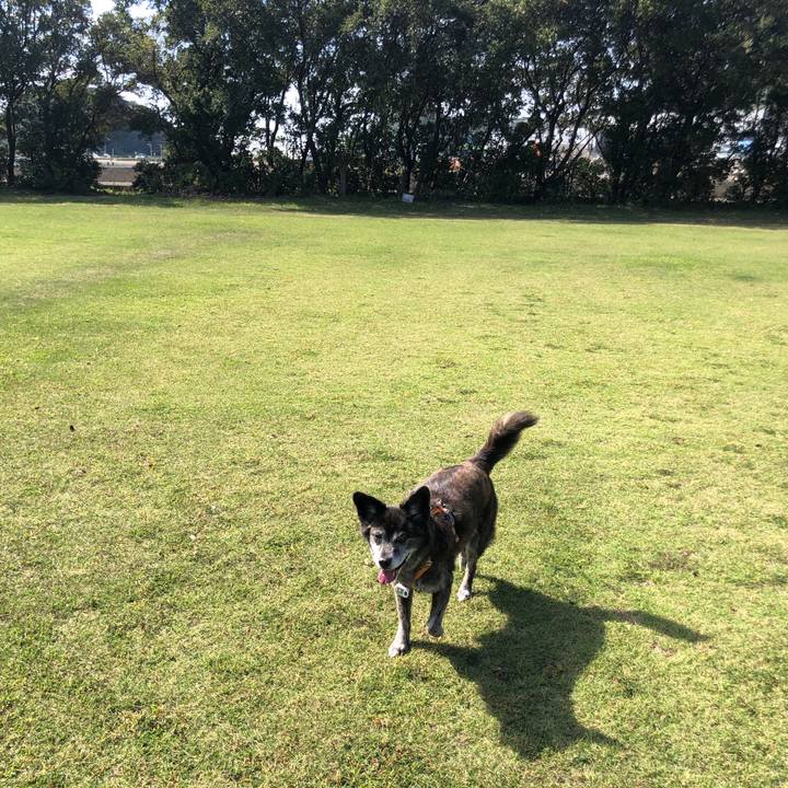 F3b8b889 8102 4a93 b6a1 35902f608cc1 1697254061161