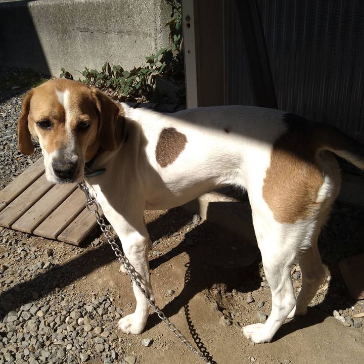 F3b8cc84 b493 48b0 959a 7159873f1ab0 1617778784688