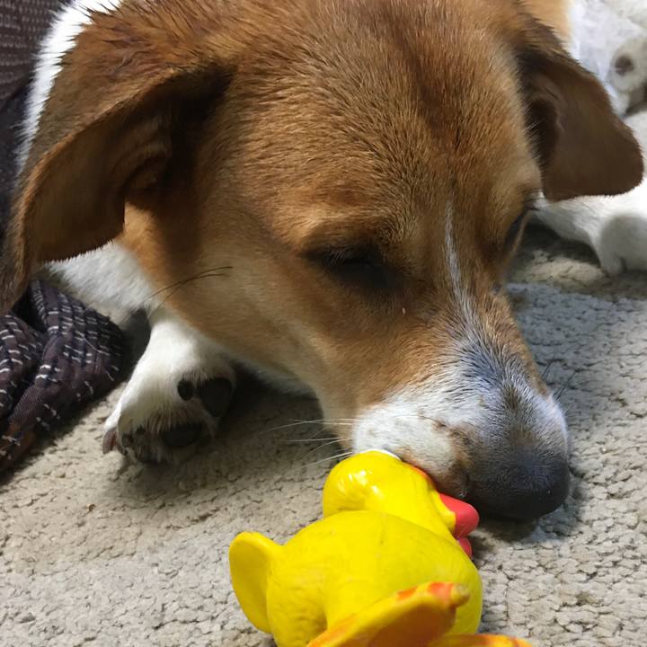 F3b8d3f6 76cd 4ae5 8df7 8cddd62c8229 1630631258571