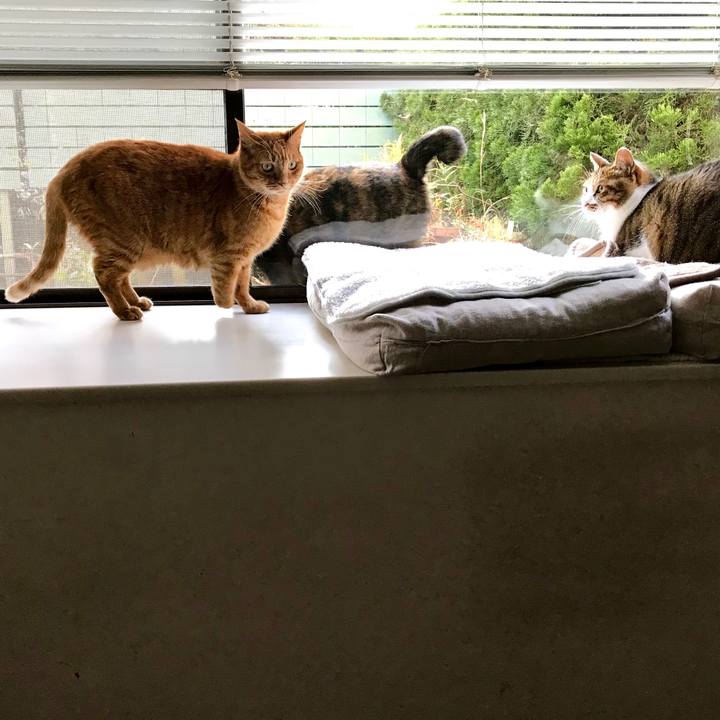 F3b8f89b c9f6 4823 907f bb81400f0455 1511930343328