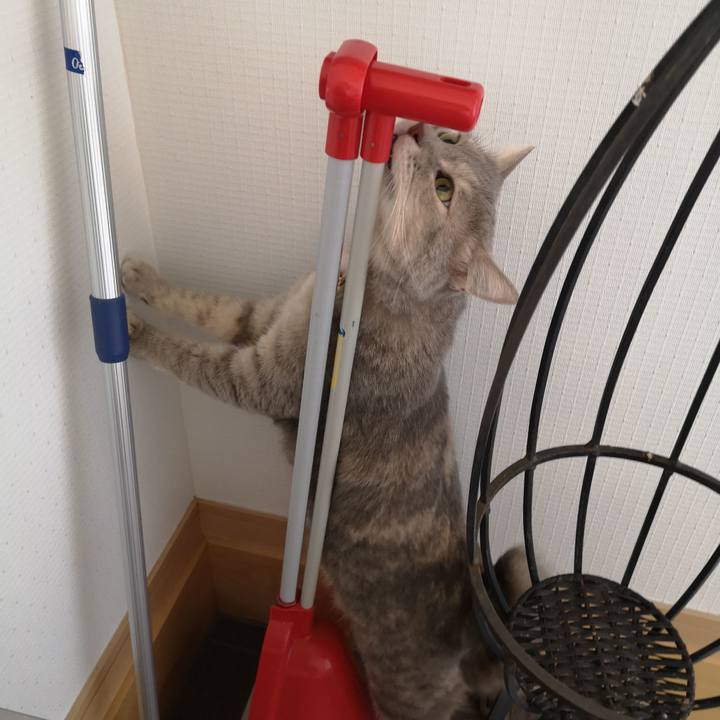 F3b904f4 40ab 46e9 b434 146868749a8f 1567758109895