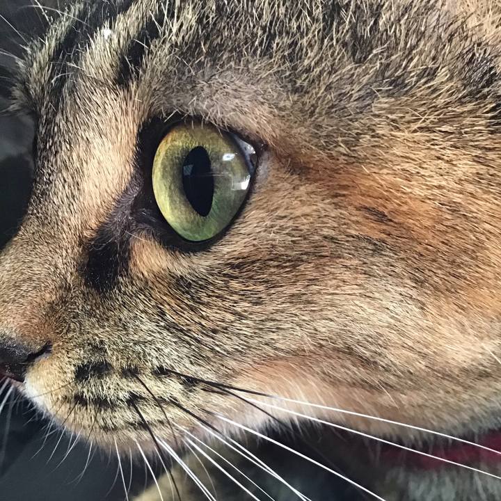 F3b95e08 7d7d 4f1b 962d 4123ffb5254d 1611215937352