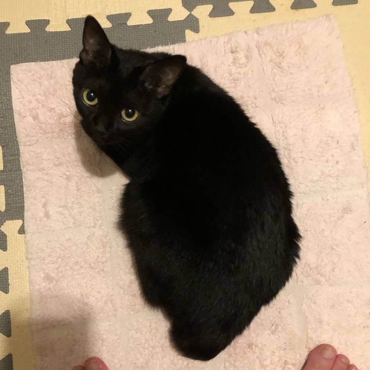 F3b9941b 1202 4dff 9691 497ffbf86562 1564398977139