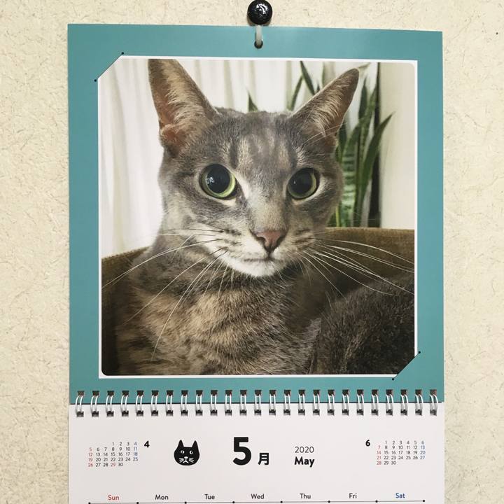 F3b9ffa2 d2f2 480d a11a 6f64c62c222b 1588326882641