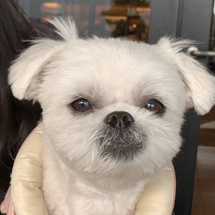 F3ba1f6a 40f0 4aa8 a16d b03bf2ad9df6 1644405409087