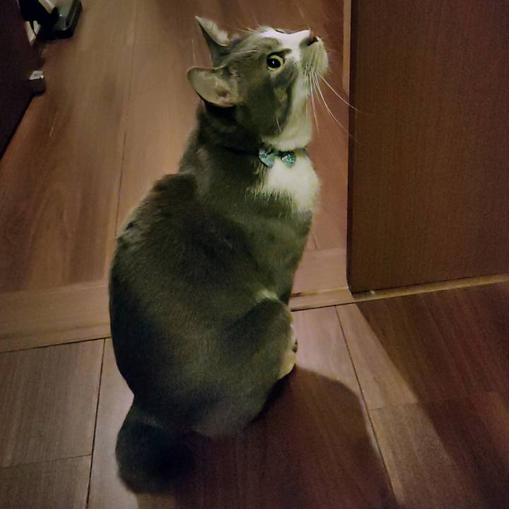 F3ba301e f66e 4359 9c8e 2f2989218e3c 1671711862754