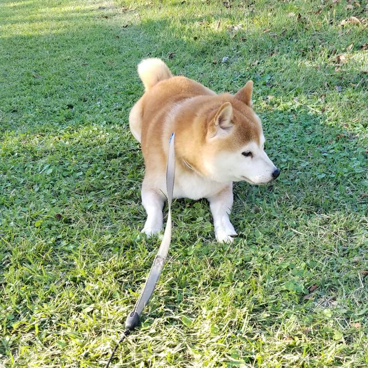 F3ba3758 6c26 4c66 a313 d1b4a55d2e5f 1634192073216