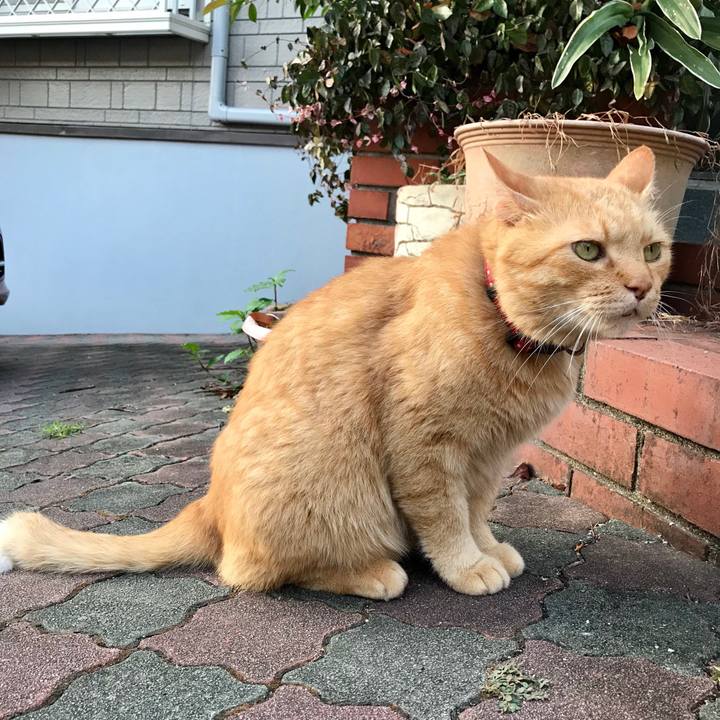 F3ba4c1f 0cfe 4ce9 ac01 9cbf9b6a18aa 1535189803072