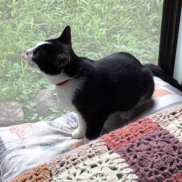 F3ba4dfb 0bb3 44d2 b141 b87266542a7e 1630891147446