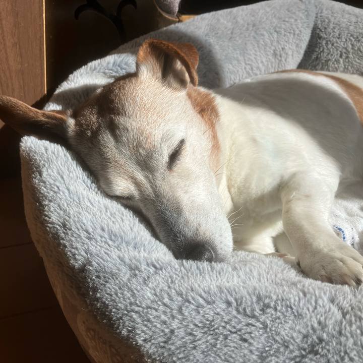 F3ba60b5 062a 48d5 8a20 48d4534eb1ff 1772589589849