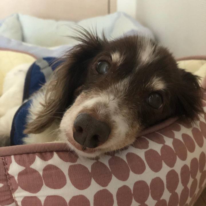 F3ba79de 7795 43a7 8d31 69752fad34c4 1599084416891