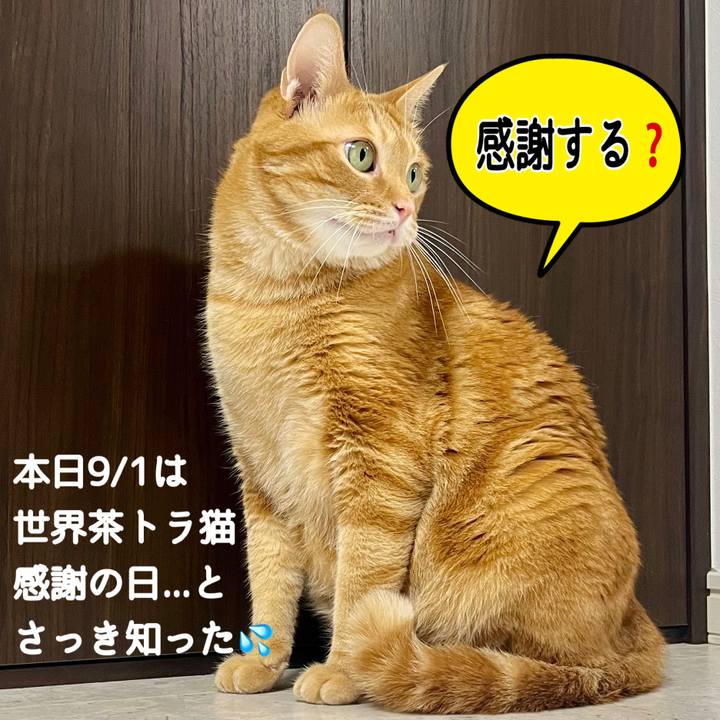 F3bae273 f552 4e7a 9bac 05a371aab017 1662039771508