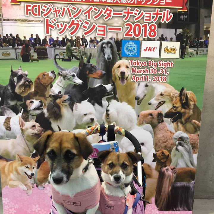 F3bb1d1e 1aa9 4df5 ba48 77745a7b2367 1522562504905