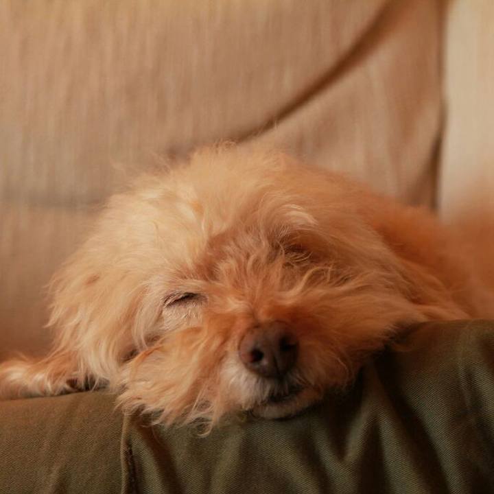 F3bb2851 a8c7 4f1d a3c3 3a449dbee1e6 1585601074095