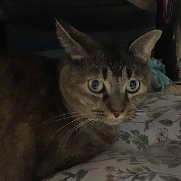 F3bb42c0 fcef 46e4 80da dbbf49271673 1758616174278