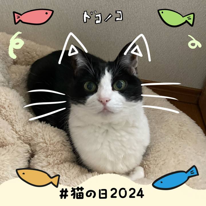F3bb59e3 2701 42ca 99bd cccc37fbf1f2 1708556980269