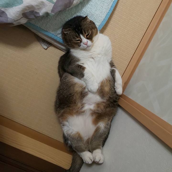 F3bb71c1 efda 4e4d ada4 882d1d079743 1714607337298