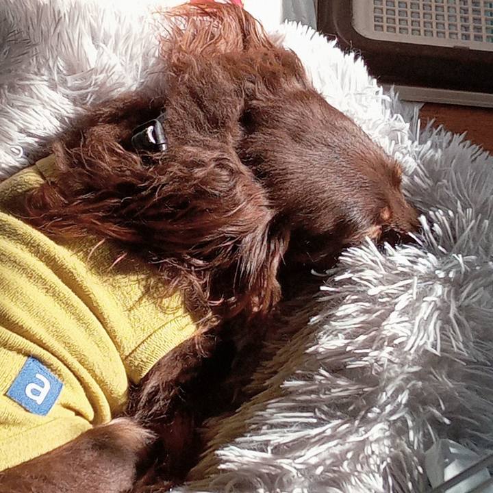 F3bb8e5e bbf3 490d ae27 02454a9286db 1763849015980