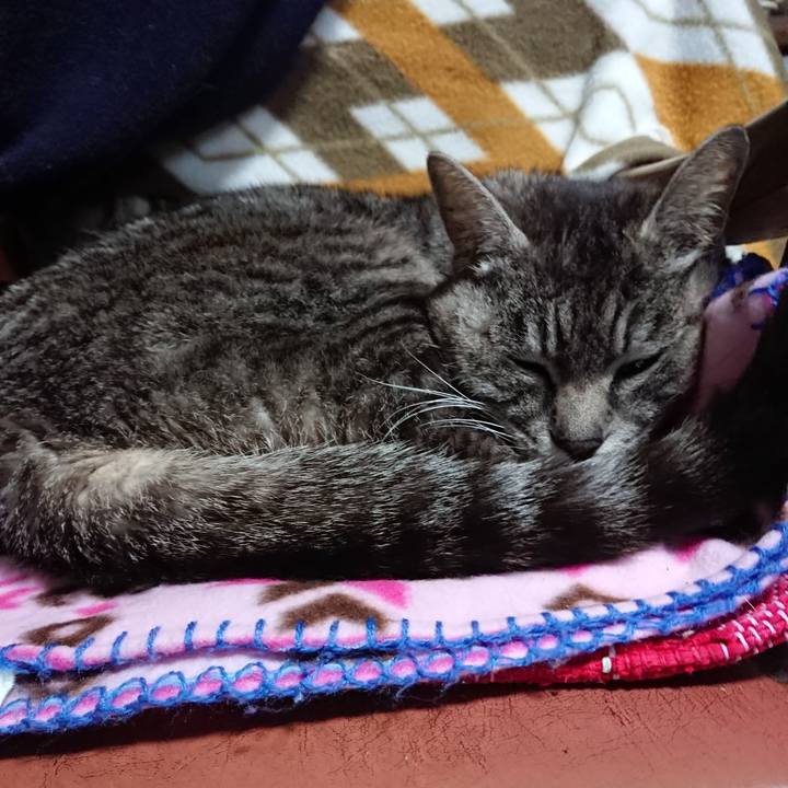 F3bb93ab 6841 45c9 b954 2ca7f98e8068 1553153935337