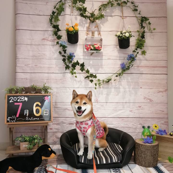 F3bbbb80 29aa 4d82 86c1 90360a062447 1688650433028