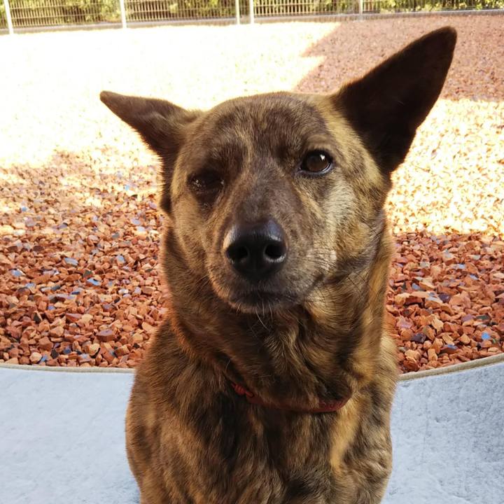 F3bbc91c c1ae 485f 8084 3aef10ee6be6 1528530408733