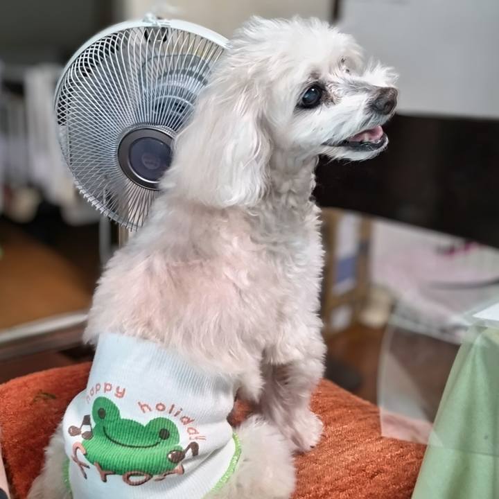 F3bc27ad af20 420a 935a b8ee0df804f9 1722132748250