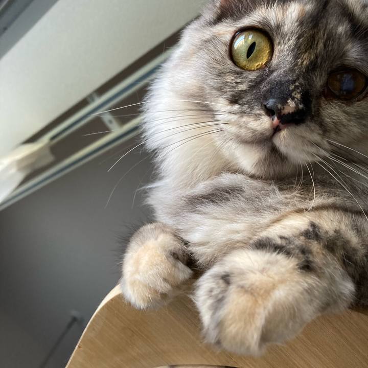 F3bc32d4 a5d9 468c 864b 58cb7f9bf023 1716970689621