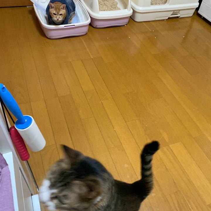 F3bc5876 d706 4252 b128 3abe58536689 1648807752004