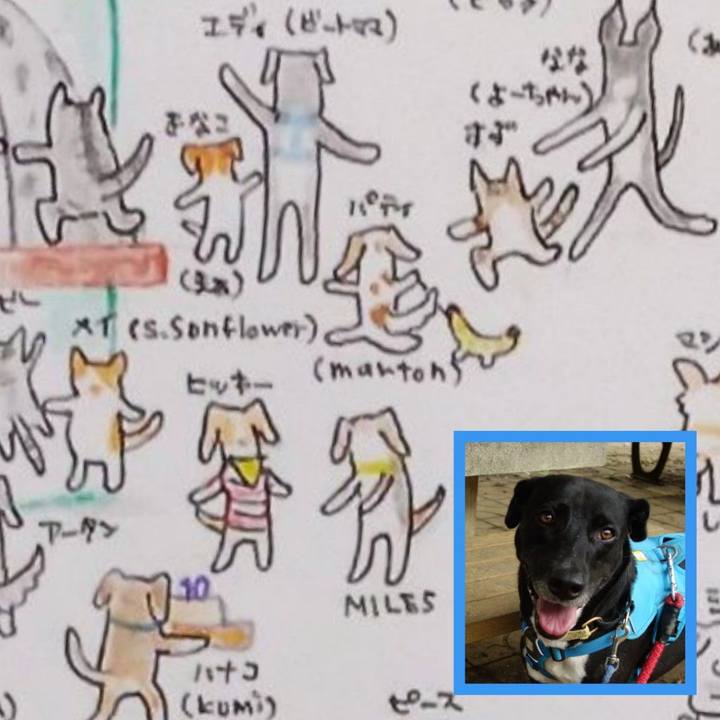 F3bc6af0 a957 4d7d 8359 2deb3589cd34 1623042350569