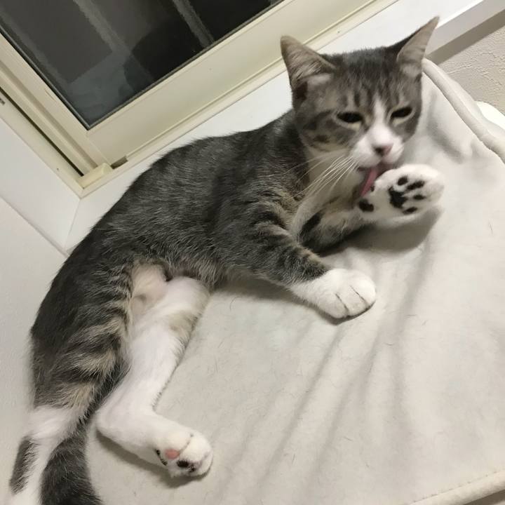 F3bc8ef6 c6a4 4624 b302 5660d96e9d1d 1536311539694