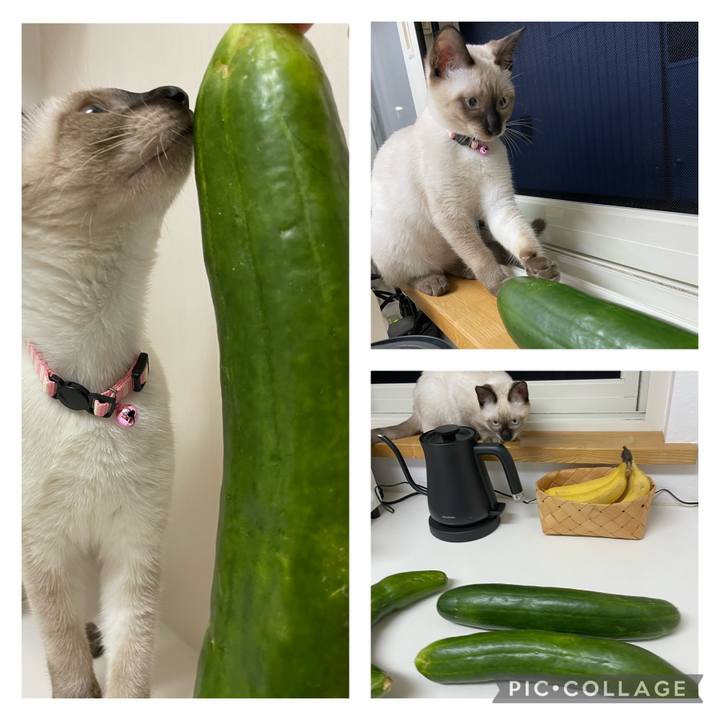 F3bc9dbe 44b7 4108 8e11 0d9c53c91d38 1694289864305