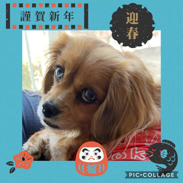 F3bcc474 bf66 42dc a54f e3368a92c488 1609467699634