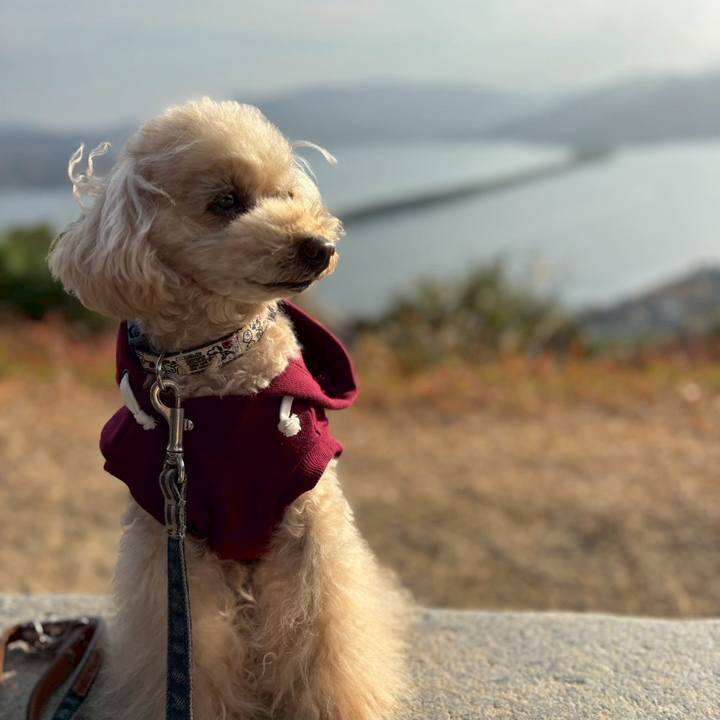 F3bd07fe 641f 4330 9013 e2d934eb869e 1764905376451