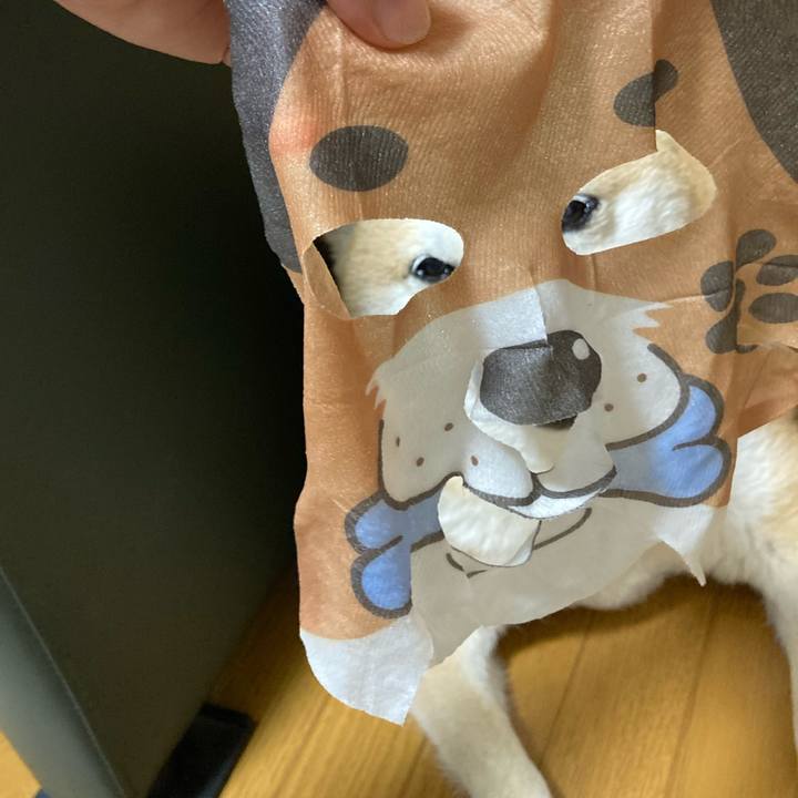 F3bd56f0 10a6 4fd5 a962 0d77c06a5640 1621255880775