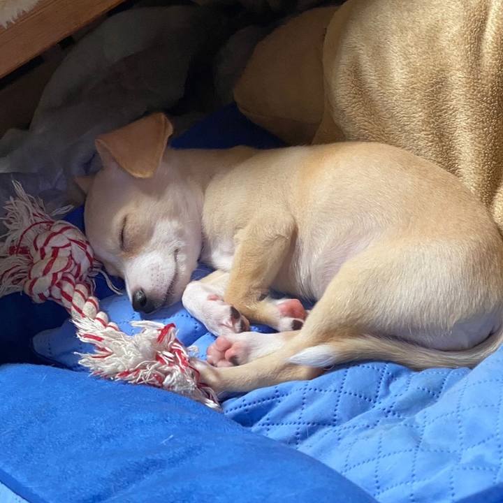 F3bd948c aa95 496a bd8e 6d7cf8e4a151 1661745641744