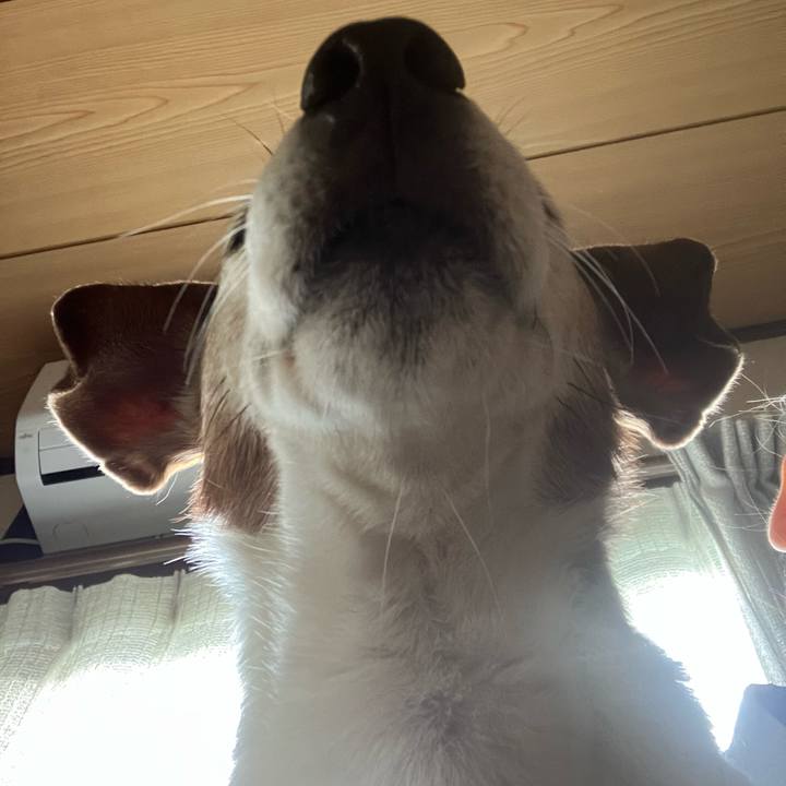 F3bd9ec1 b45f 407d a1a4 8ac765e924bc 1759961183224