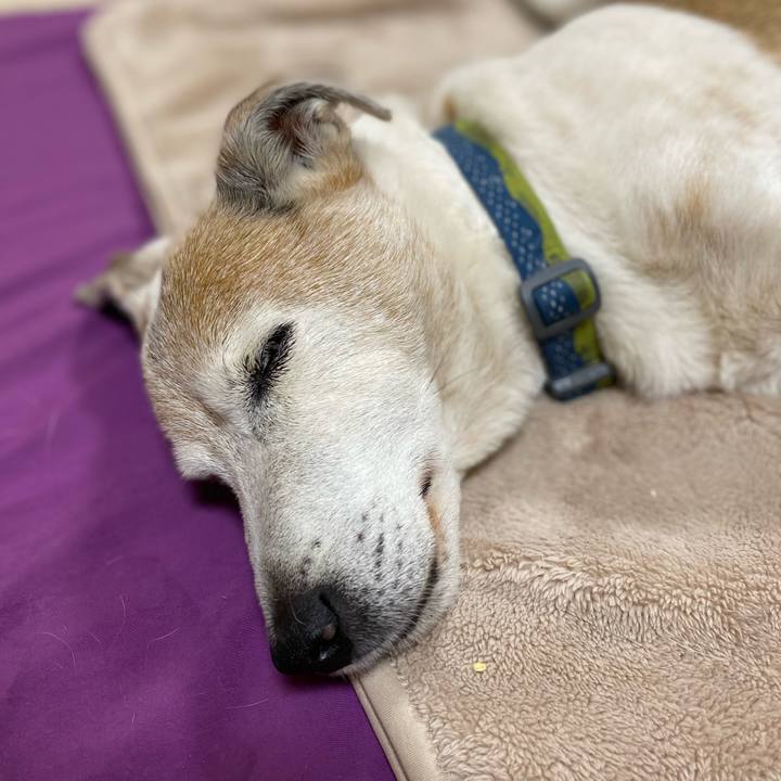 F3bdaa3f fbd0 42a2 81f1 7ca6ec5d60f9 1682257806449