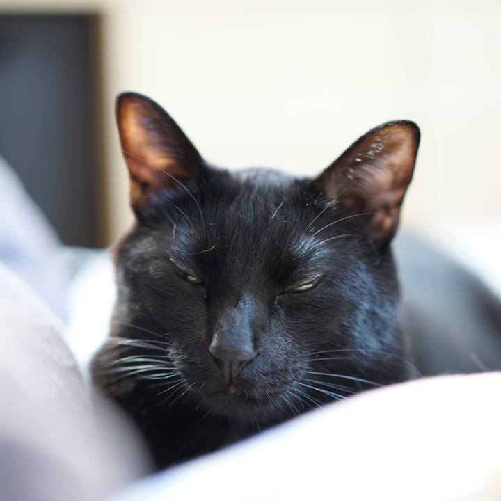 F3bdf258 3ae6 4c68 a653 19800df32e5a 1555890413503