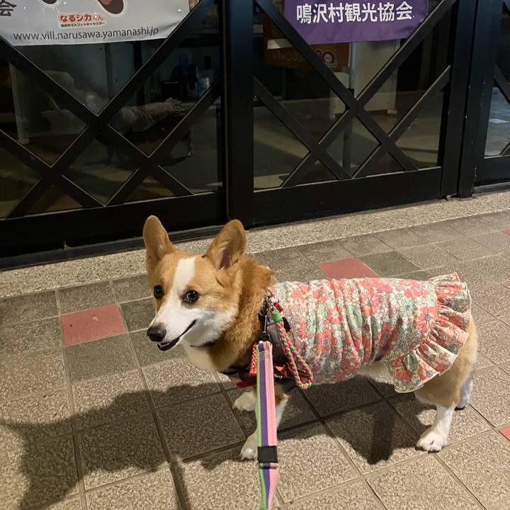 F3bdf6dc ee1e 46f3 93a8 e5b6b5f6fa40 1760199110131