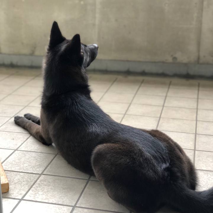 F3be03c3 01c4 4a38 bc3b b73bff6685d2 1562794577910