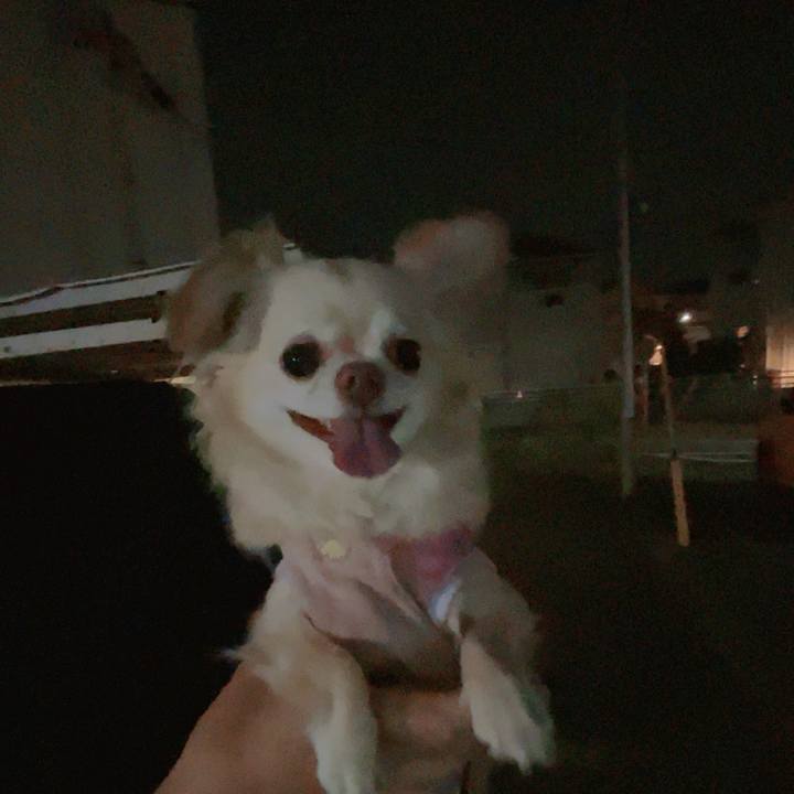 F3be11ff 7a0c 4c58 bbe2 853e8027d0d1 1751199711968