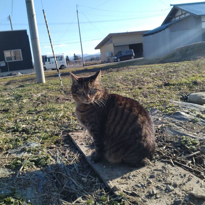 F3be1fee d708 4890 9b3f f47fed202645 1679212396794