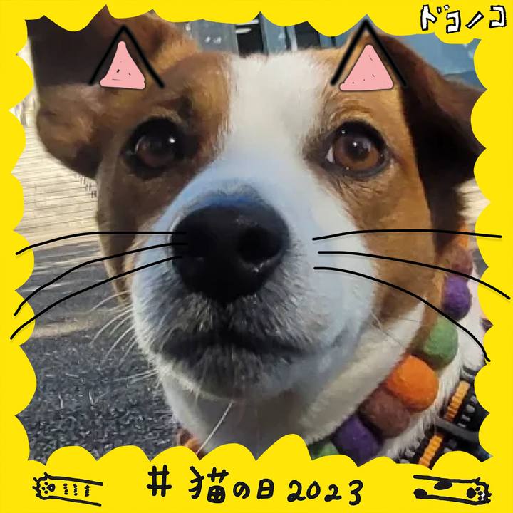 F3beac70 412e 481a 9674 08a4949ca667 1677064662076