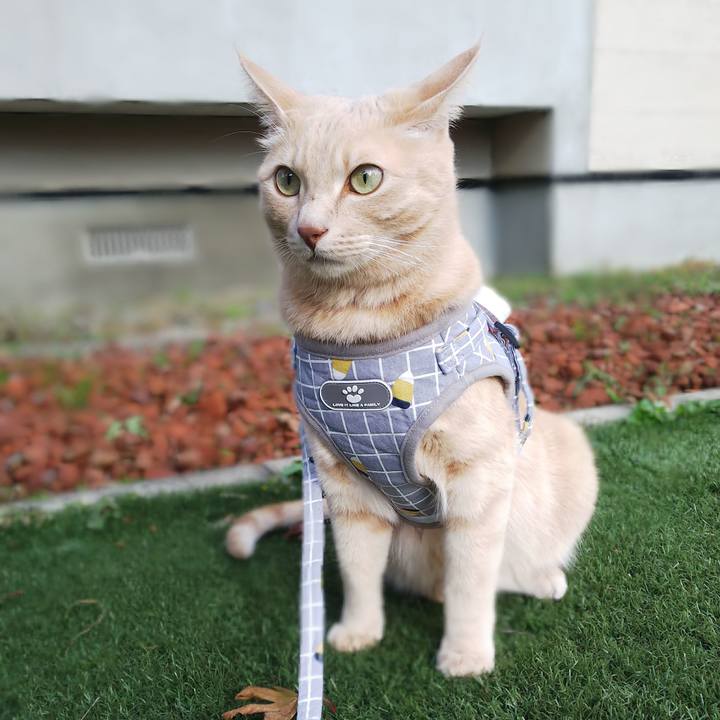 F3beac8c aefb 4cb7 9827 b7c89a04f1ef 1633219092753