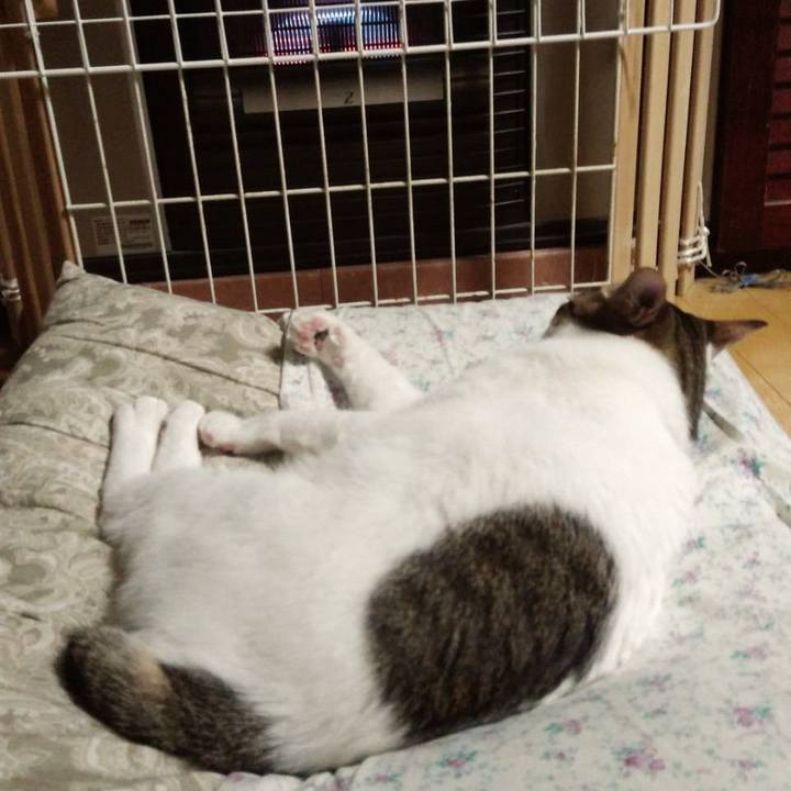 F3beb1ee 4689 4a92 8913 1714d7423a88 1703067401628