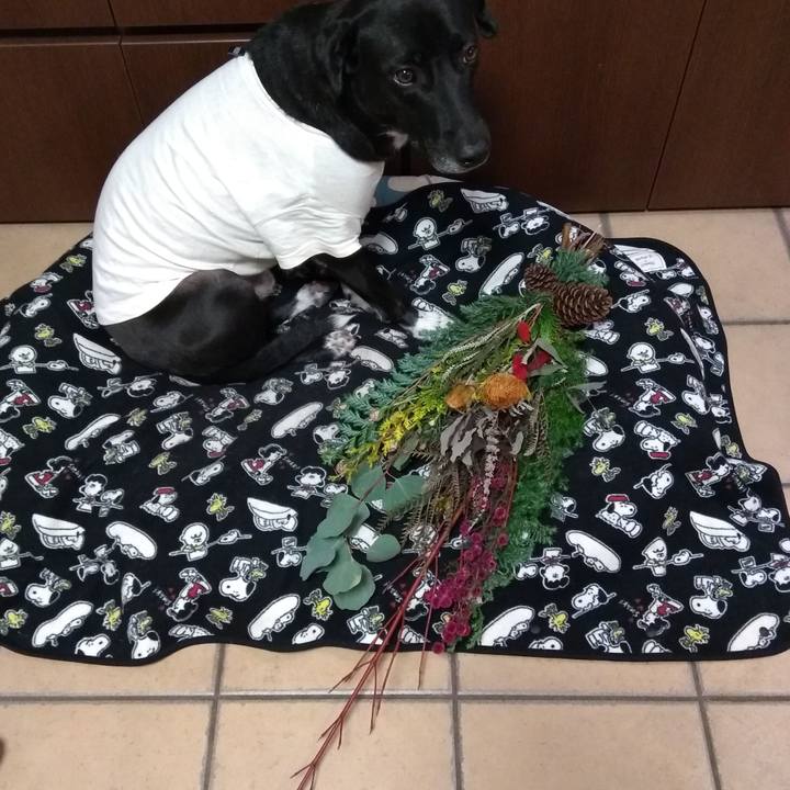 F3beb399 a015 4801 aebf 78aa90aa6d37 1607004496289